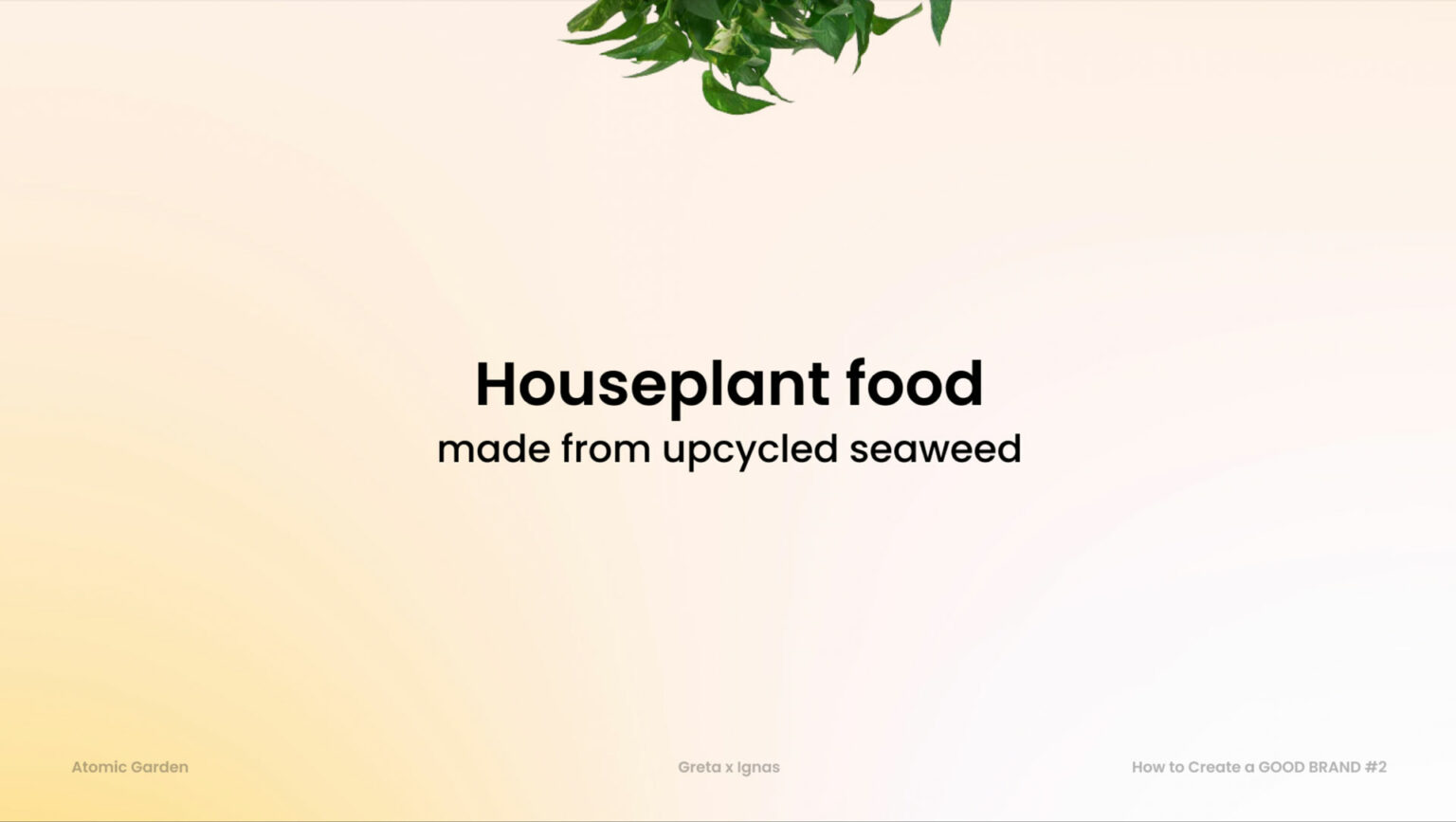 Seaweed plant food The Atomic Garden